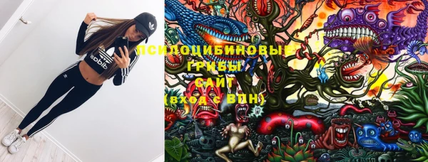 молекула духа Богданович