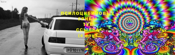 шишки Балабаново