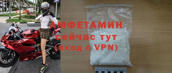 молекула духа Богданович