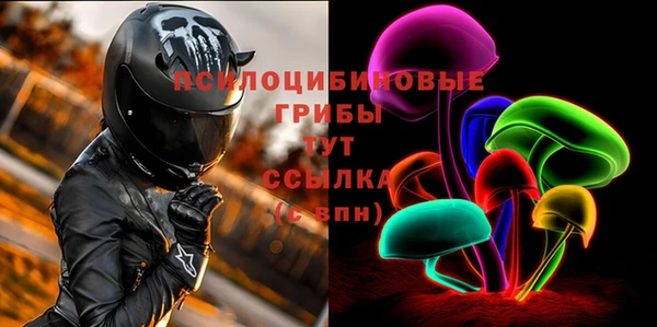 молекула духа Богданович
