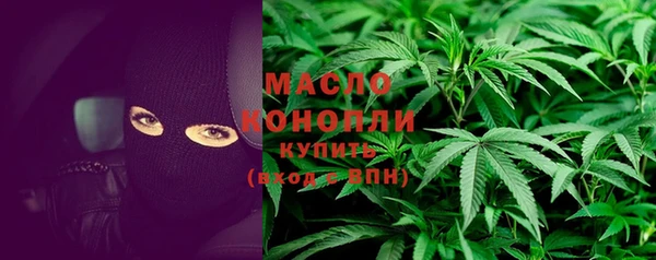 молекула духа Богданович